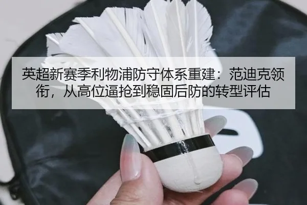ying-chao-xin-sai-ji-li-wu-pu-fang-shou-ti-xi-chong-jian-fan-di-ke-ling-xian-cong-gao-wei-bi-qiang-dao-wen-gu-hou-fang-3-827.jpg