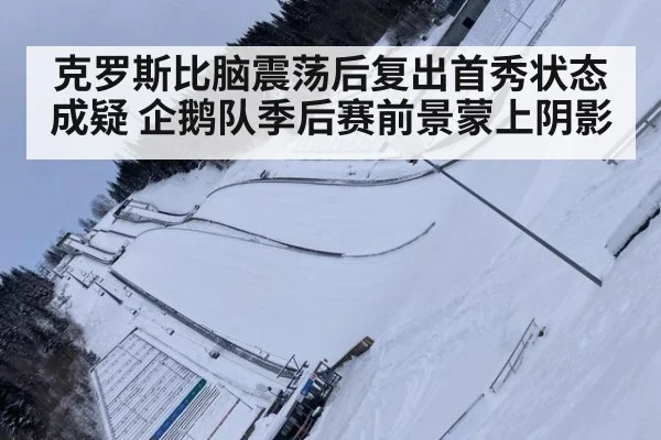 克罗斯比脑震荡后复出首秀状态成疑 企鹅队季后赛前景蒙上阴影